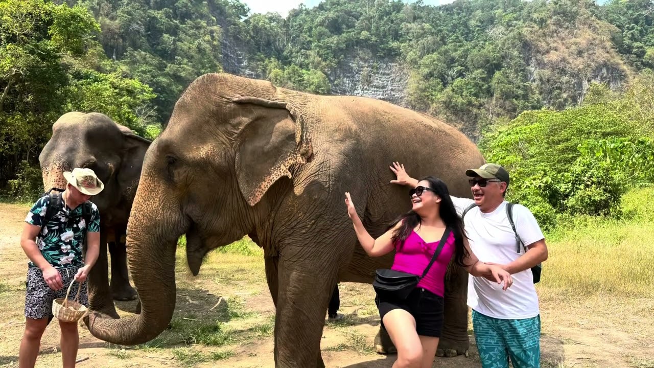 2025 Krabi Elephant Green Sanctuary Tour