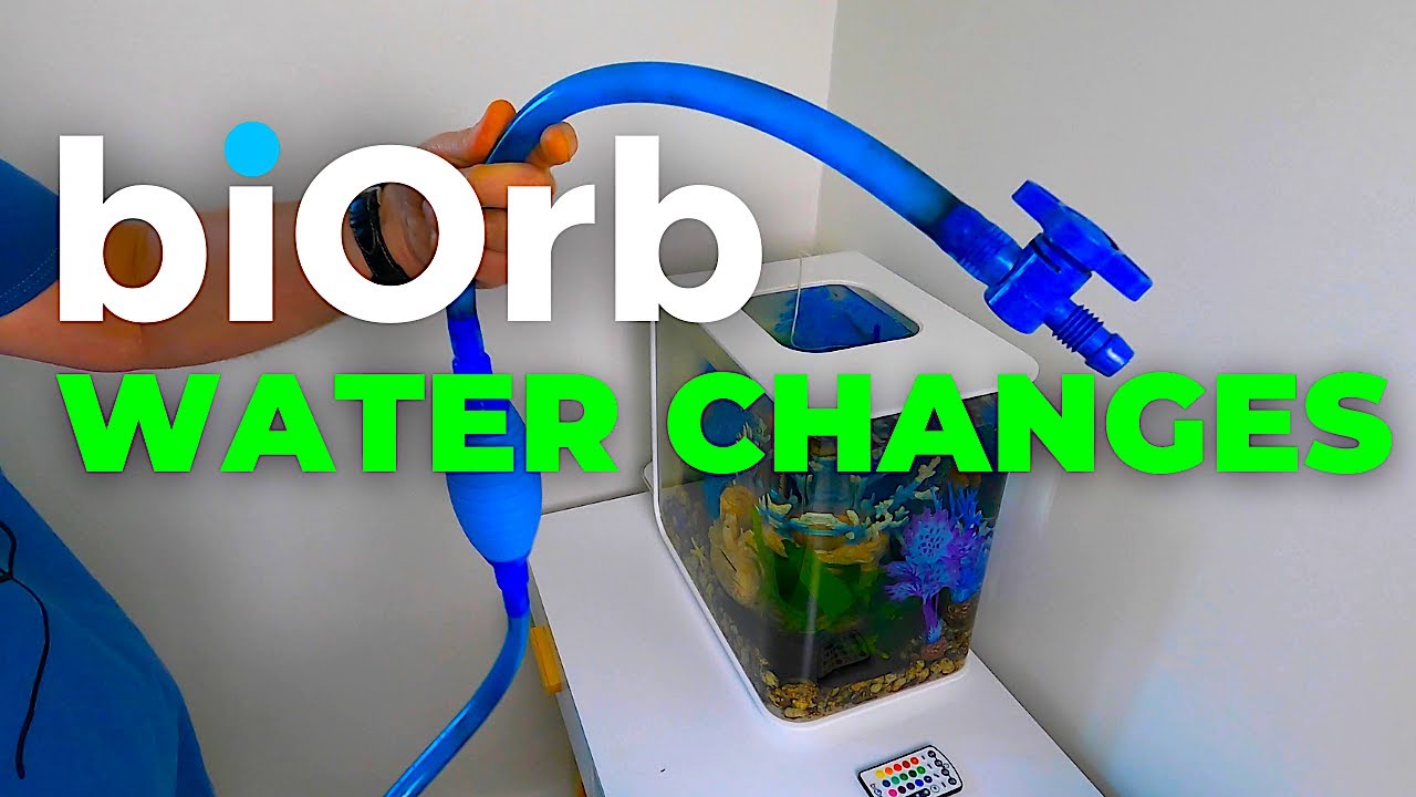 biOrb Aquarium  |  How to undertake water changes