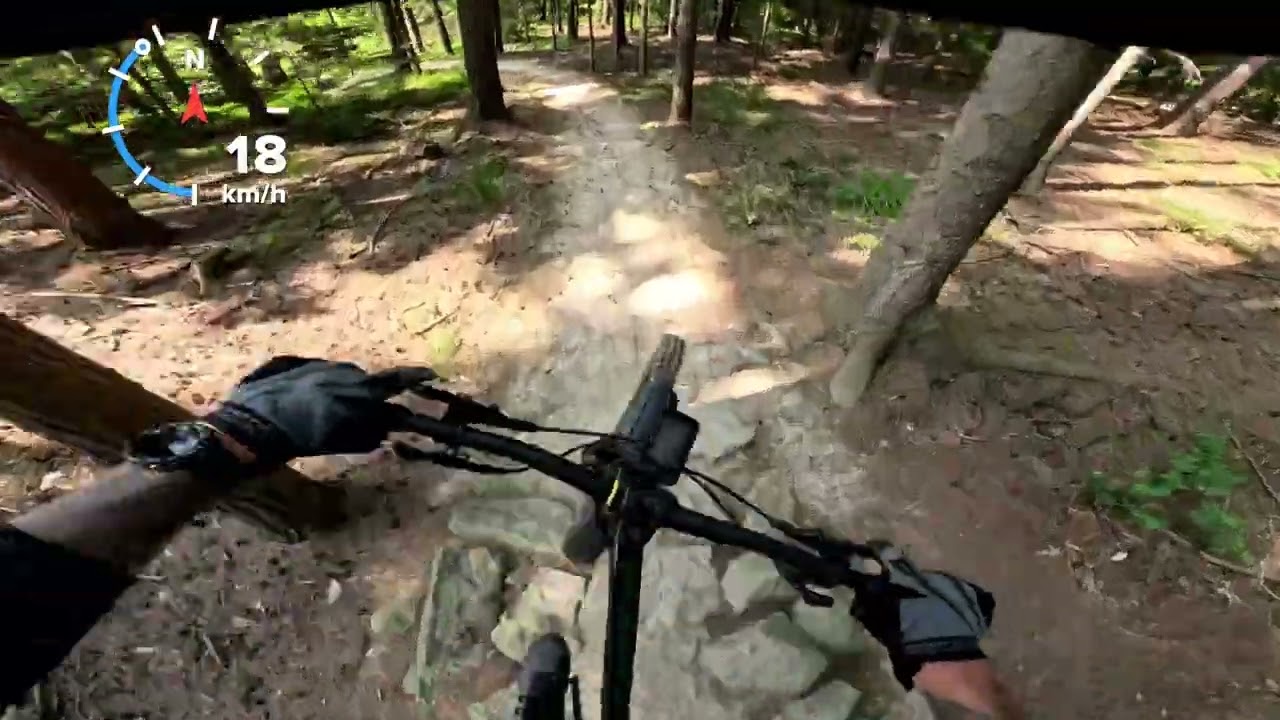 Sprawdzam Suliwoods // Przejazd Dartmoor Blackbird Intro 29