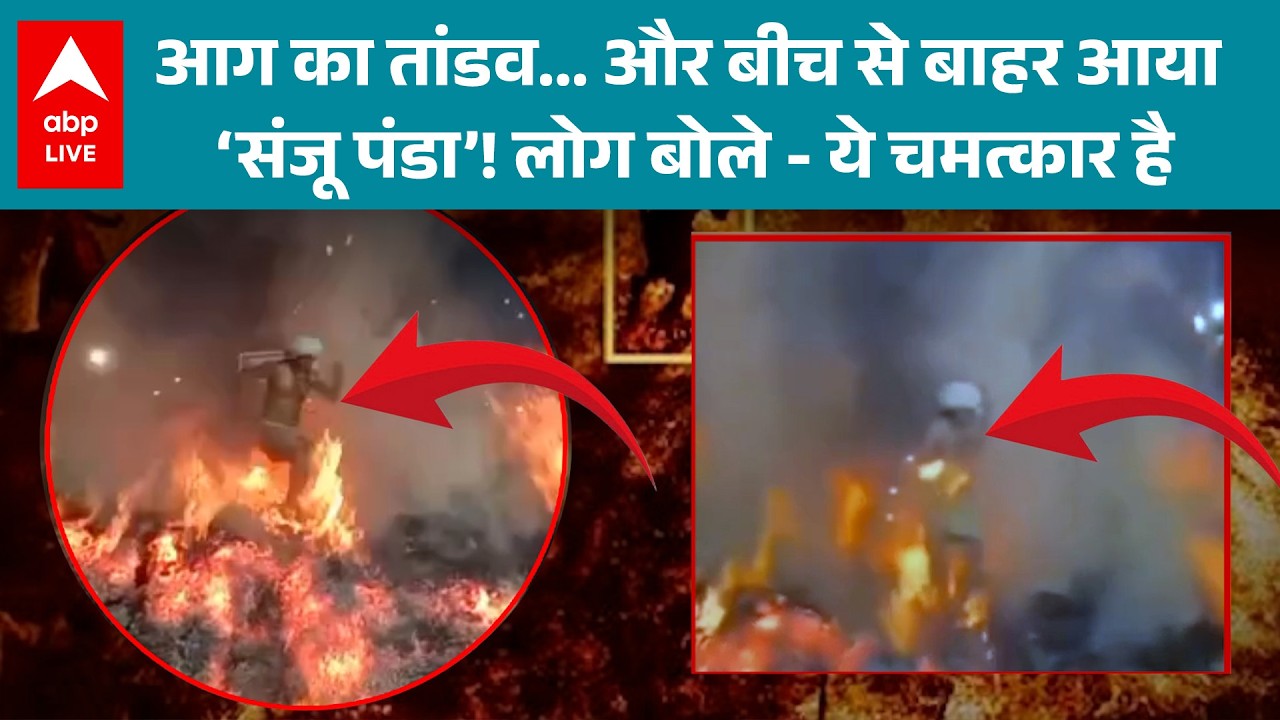 Holi 2026: आग का तांडव और संजू पंडा का चमत्कार, देखिए मथुरा होली की अद्भुत घटना! |ABPLIVE