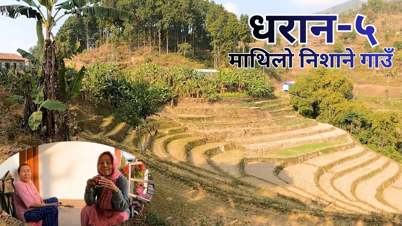 धरान -५ को गाउँ घर घुमेर फर्किदै /Back from Dharan-5 Village Tour