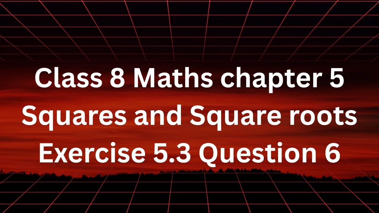 Class 8 Maths Chapter 5 Squares and Square Roots | Exercise 5.3 Question 6