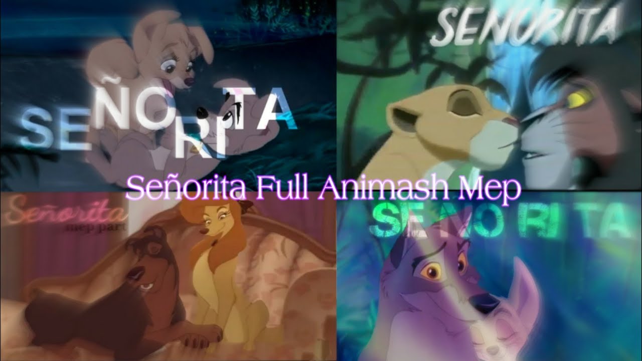 🌟Señorita❤️ Full Animash Mep