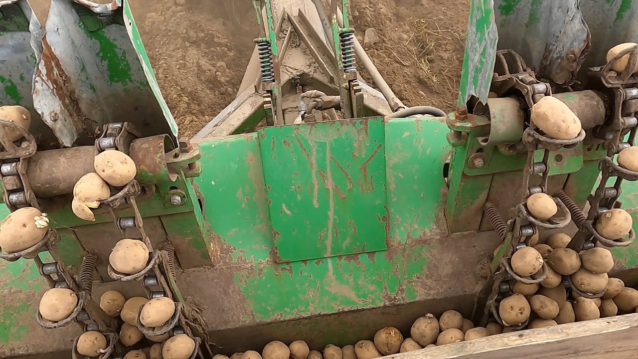 🥔🥔Sadzenie ziemniaków: Riviera, świeży sadzeniak z Agrico Polska oraz Arizona sadzeniak własny🥔🥔