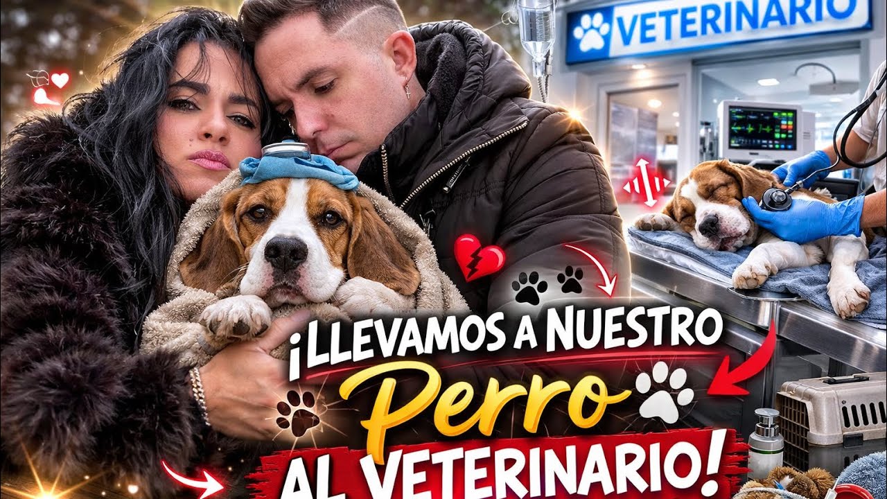 ¡COMPRA ÉPICA EN EL SUPERMERCADO Y CORRIENDO AL VETERINARIO CON NUESTRO PERRO! 🐕 