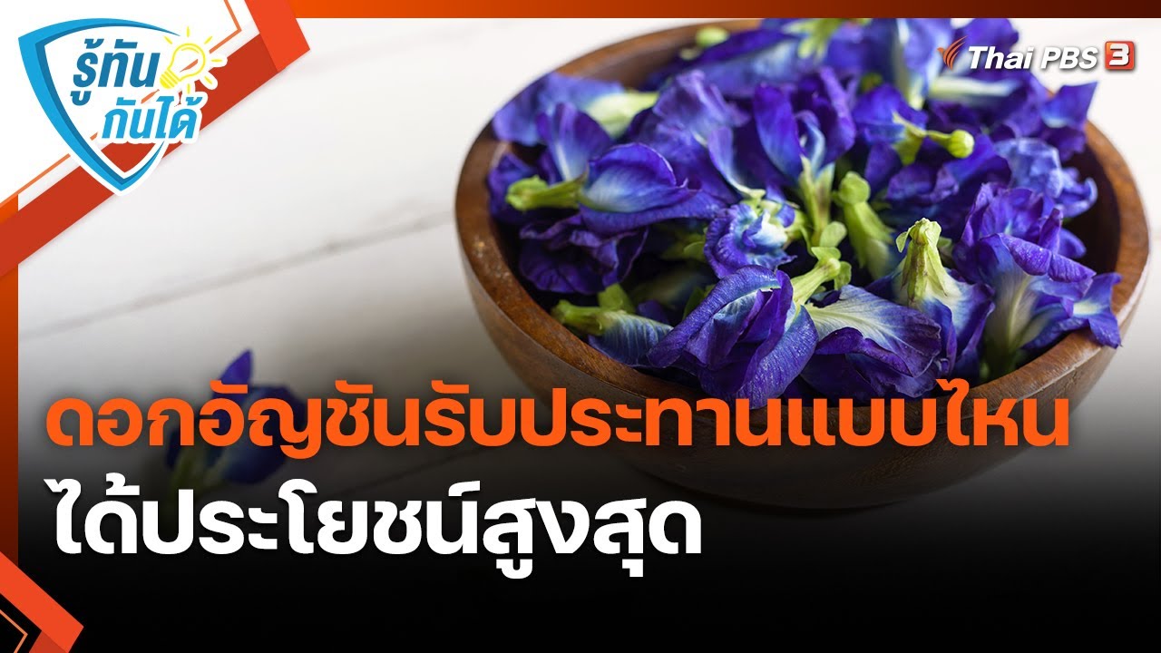 ดอกอัญชันรับประทานแบบไหนได้ประโยชน์สูงสุด | รู้ทันกันได้
