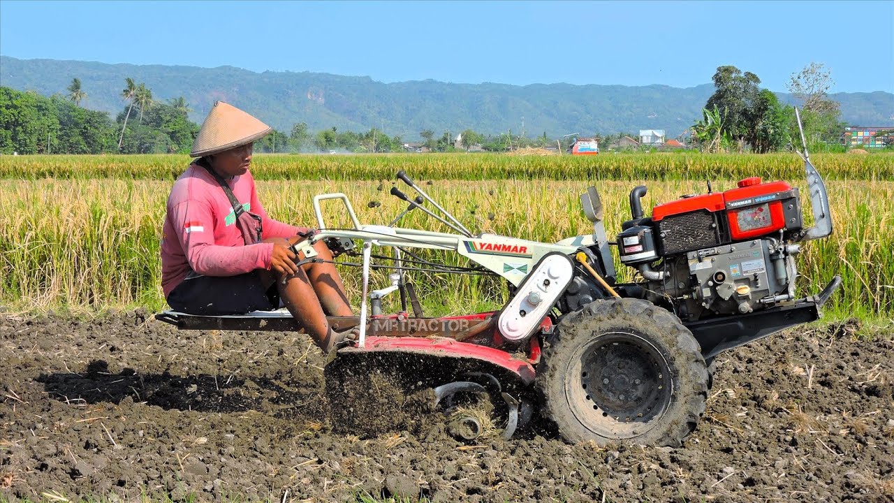 Yanmar Diesel Rotary Hand Tiller Tractor Tilling Dirt