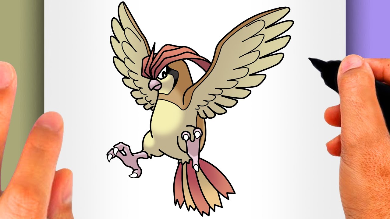 HOW TO DRAW PIDGEOTTO - How to Draw Pokémon Nº 0017 (EASY POKÉMON DRAWING) - Pidgeotto Drawing