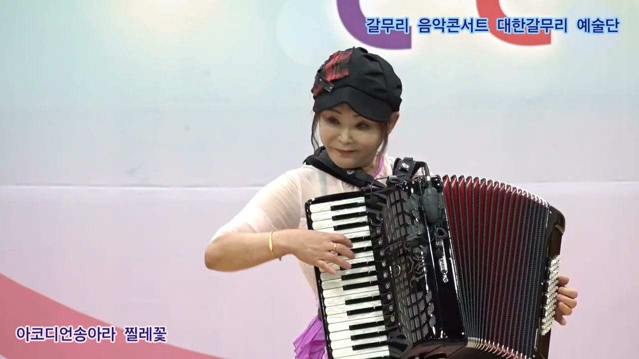 아코디언송아라 찔레꽃 원곡백난아 갈무리 음악콘서트 대한갈무리 예술단 정기공연 미추홀구청 특설무대 
