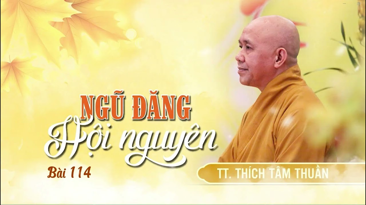 Ngũ Đăng Hội Nguyên - Bài 114 _ TT. Thích Tâm Thuần