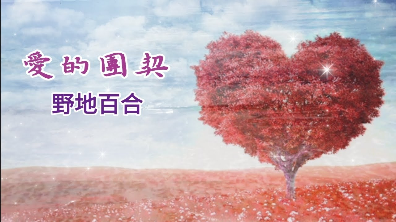 《愛的團契》基督教歌曲 野地百合 精选诗歌 敬拜赞美歌曲 天天敬拜 好聽感動詩歌 靈修禱告時光 敬拜單曲