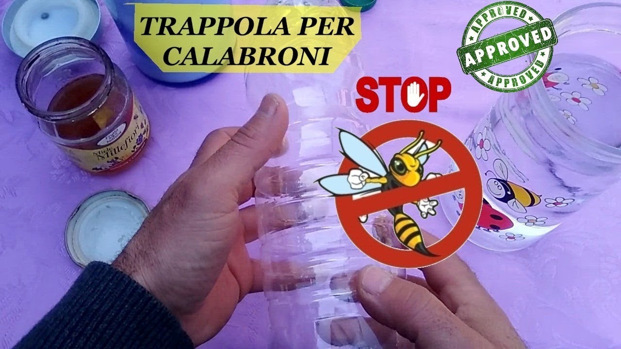TRAPPOLA PER CALABRONI