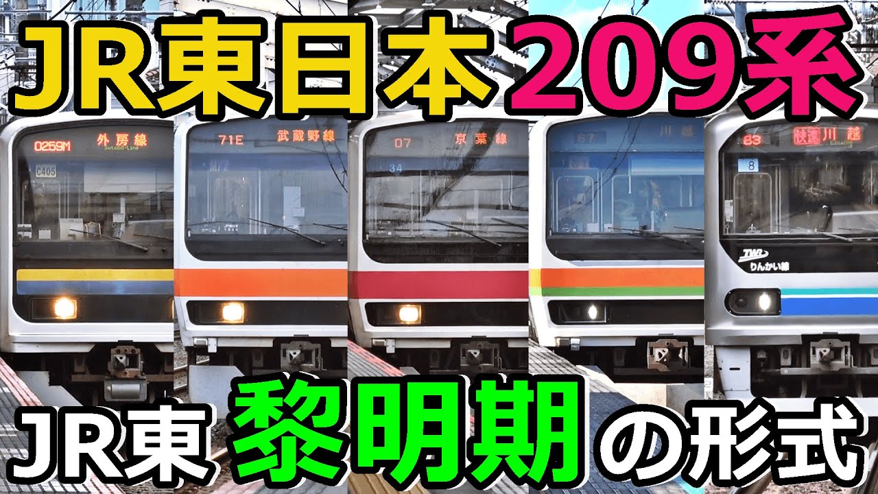 【電車の革命児】JR東日本の現役209系を全て紹介するぜ！