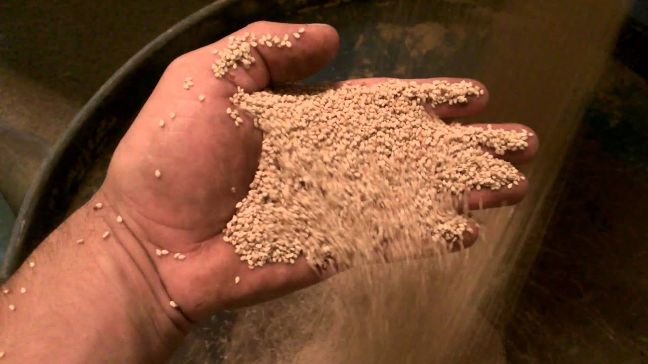 Akyurek Technology - Sesame Seed Cleaning for Hulling and Tahini in Jeddah