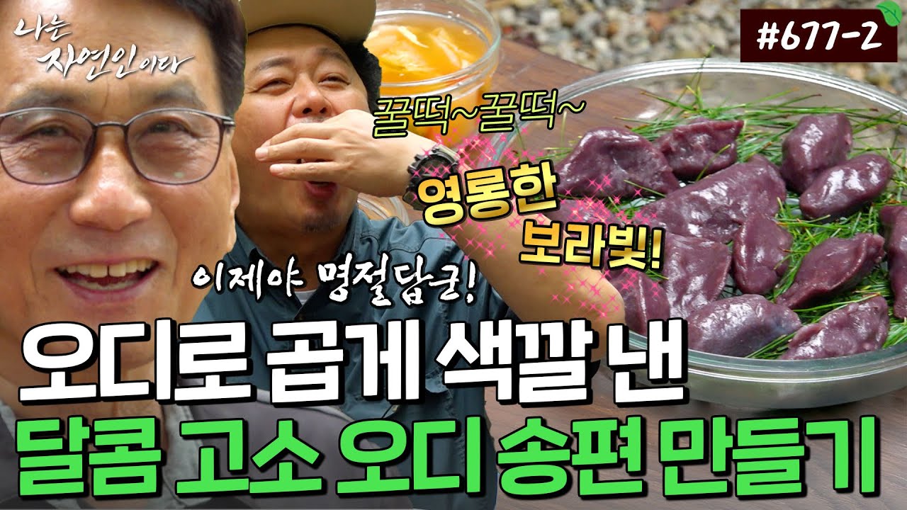 늘 외로웠던 자연인의 명절을 채워줄 보라빛 낭낭한 오디 송편 만들기｜자연인 다시보기 677-2