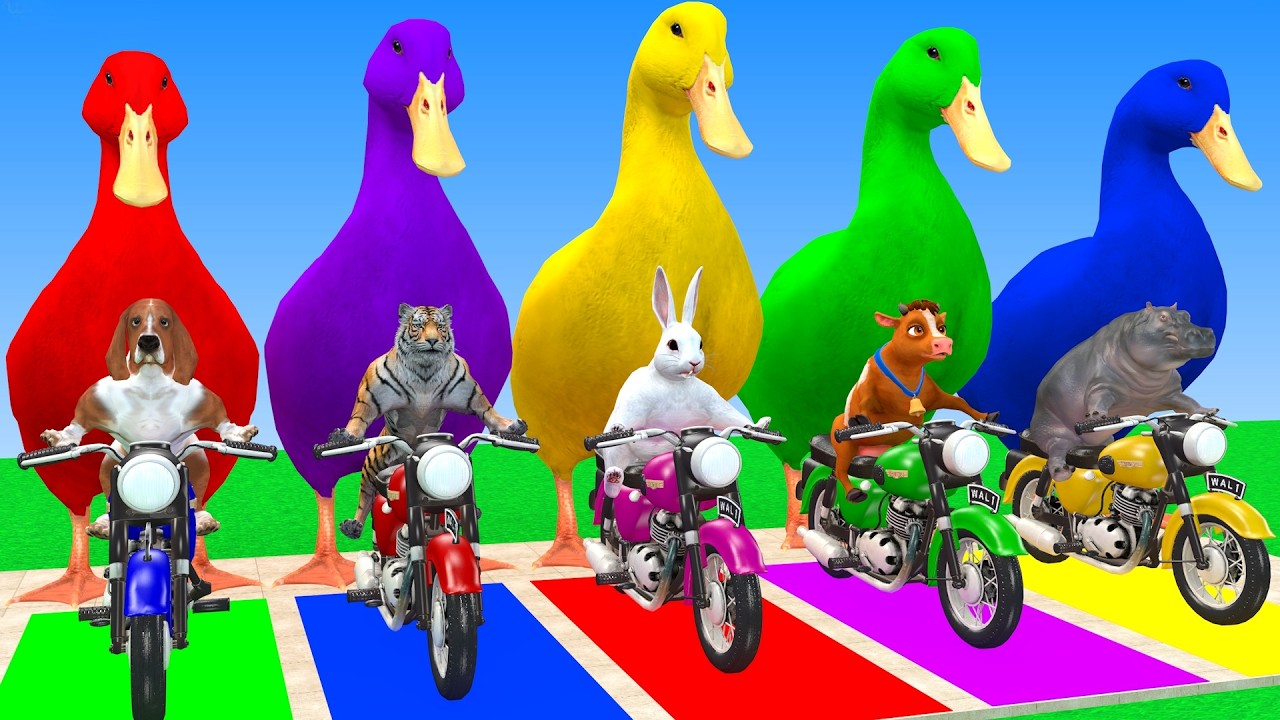 Long Slide Game With Cow Elephant Gorilla Hippopotamus Tiger 3d Animal Game Funny 3d Animals