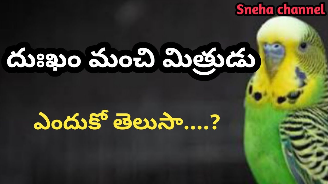 wonderful quotes#910#jivithasathyalu |Million dalar quotes |‌|Sneha channel