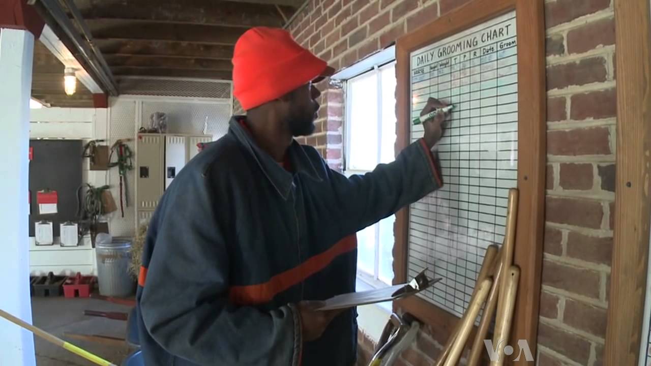 Prison Work Farm Rehabs Inmates, Horses