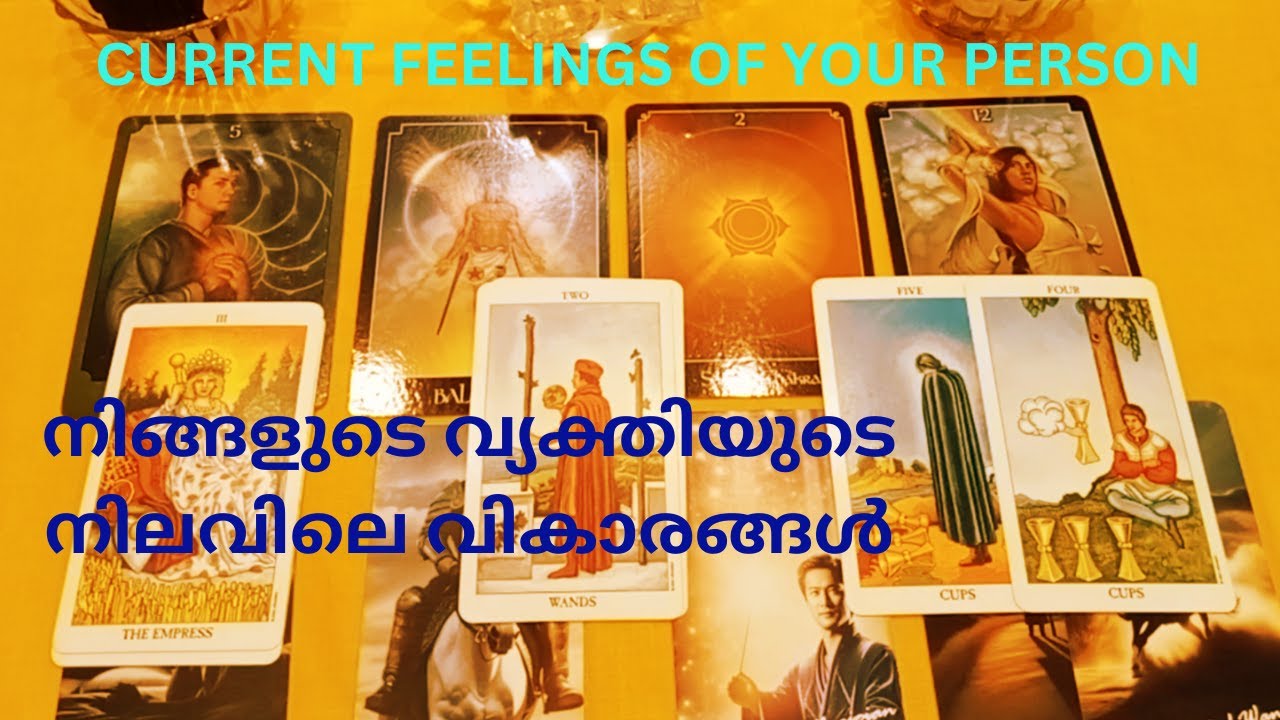 നിങ്ങളുടെ വ്യക്തിയുടെ നിലവിലെ വികാരങ്ങൾ🪬Current feelings of your person🧿In-Relation, No Contact 😇💖