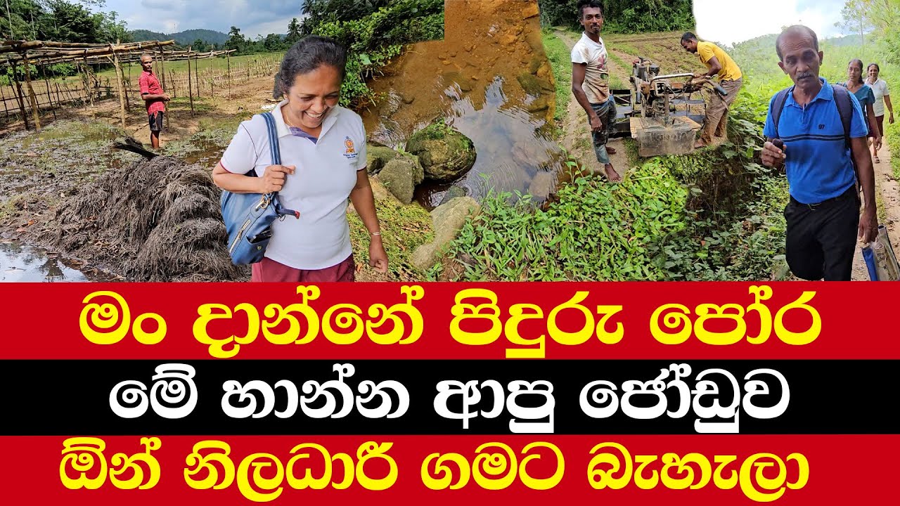 මං දාන්නේ පිදුරු පෝර | මේ හාන්න ආපු ජෝඩුව | ඕන් නිලධාරී ගමට බැහැලා