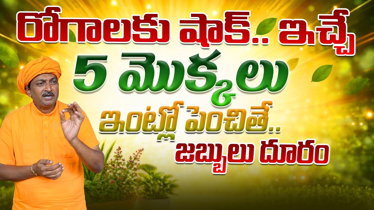 రోగాలకు షాక్ ఇచ్చే 5 మొక్కలు ఇంట్లో పెంచితే జబ్బులు దూరం | Ravivarma | AYUR MANTRA