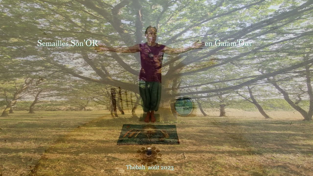 Semailles Son'Or en Gaïam'Our