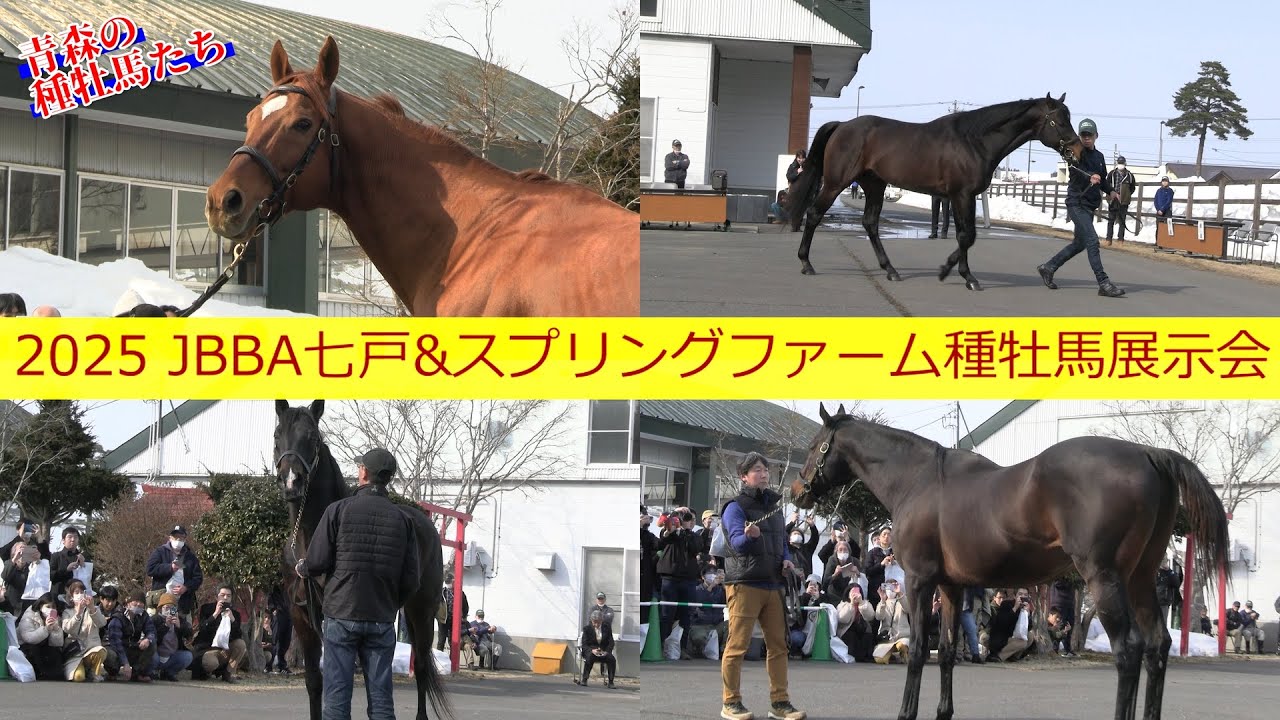 ウインバリアシオンなど青森の種牡馬4頭が登場！2025年JBBA七戸&スプリングファーム合同種牡馬展示会