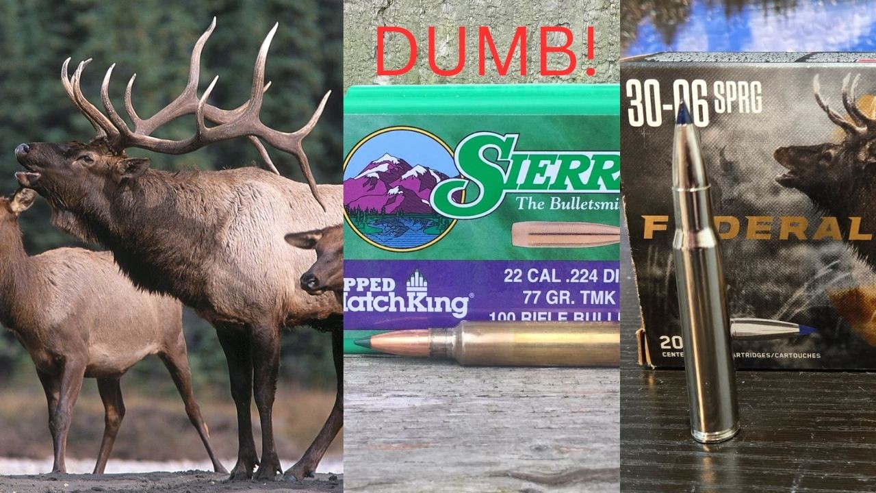 Minimum Cartridges for Elk
