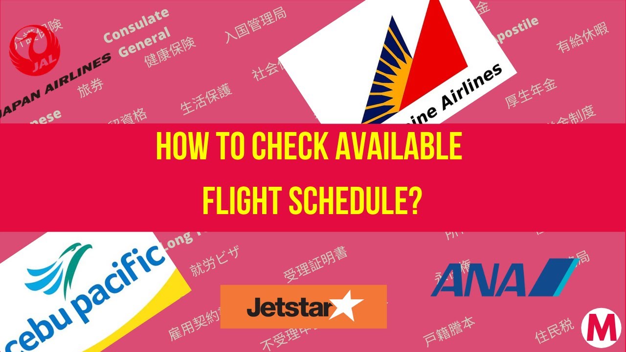 How to Check Available Flight Schedule?