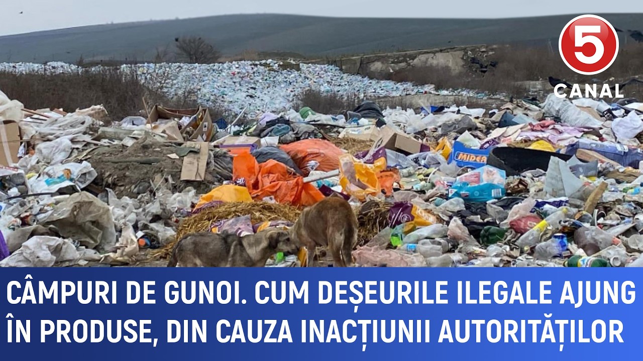 Câmpuri de gunoi. Cum deșeurile ilegale ajung în produse, din cauza inacțiunii autorităților