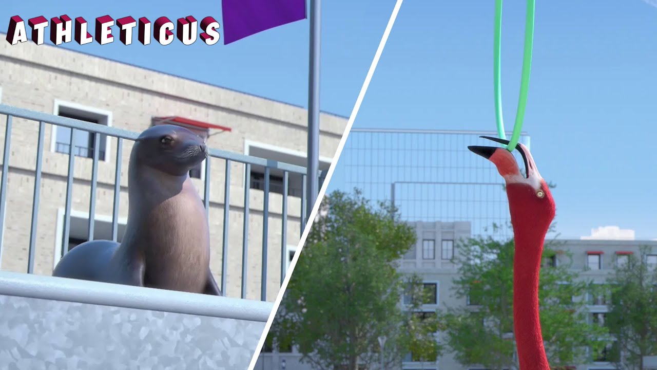 SEASON 3 💥 Freestyle 🦩 Athleticus | Sport animals | Cartoon in English
