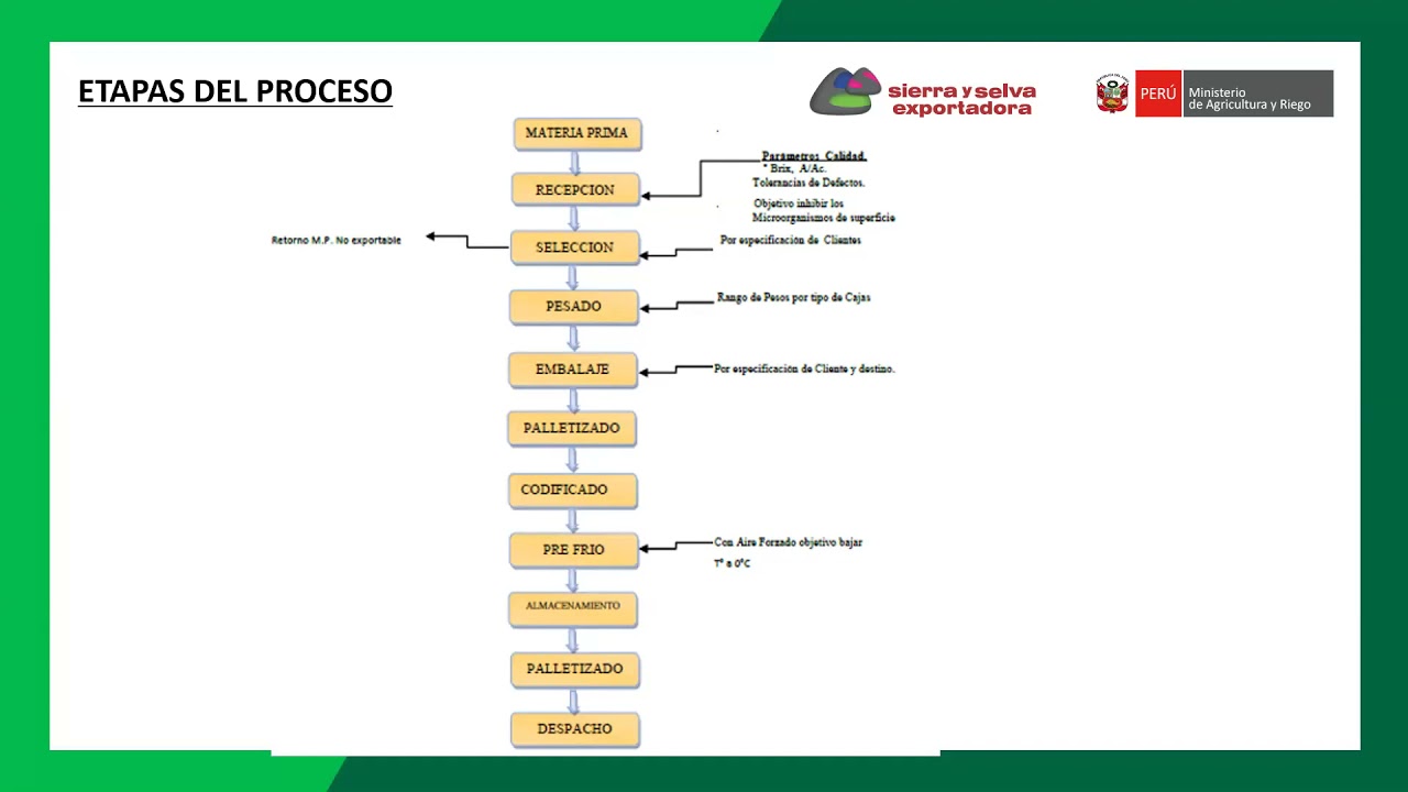 PROCESOS DE PACKING  18 - 05 - 21