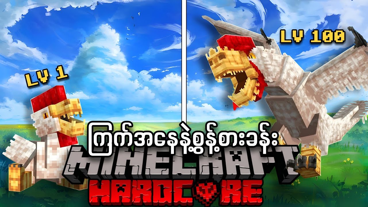 ကြက်အနေနဲ့ ရက်၁၀၀ အသက်ရှင်ခဲ့တယ်!!! [အပိုင်း 1]