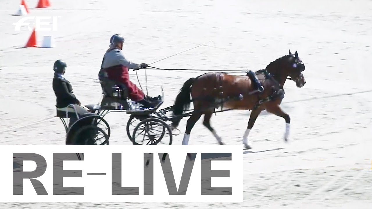 RE-LIVE | Cones Competition (25) I FEI Para Driving World Championship + Prize Giving Ceremony