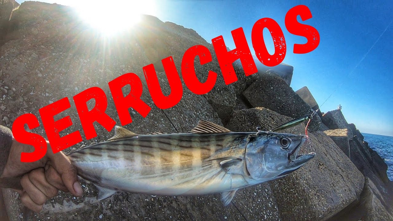 ¡A POR SERRUCHOS DESDE EL ESPIGÓN! || SPINNING HUELVA