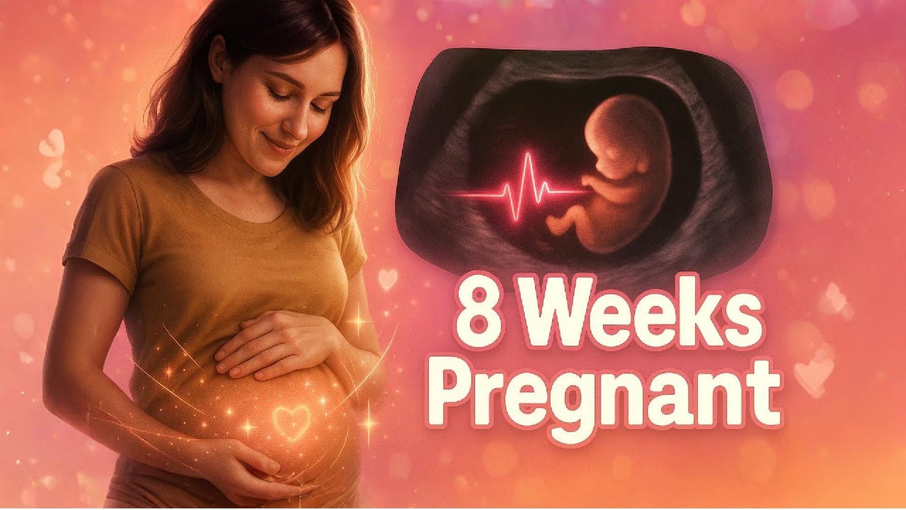 8 Weeks Pregnant: The Week Your Baby’s Heart Comes to Life (Full Breakdown) - week by week