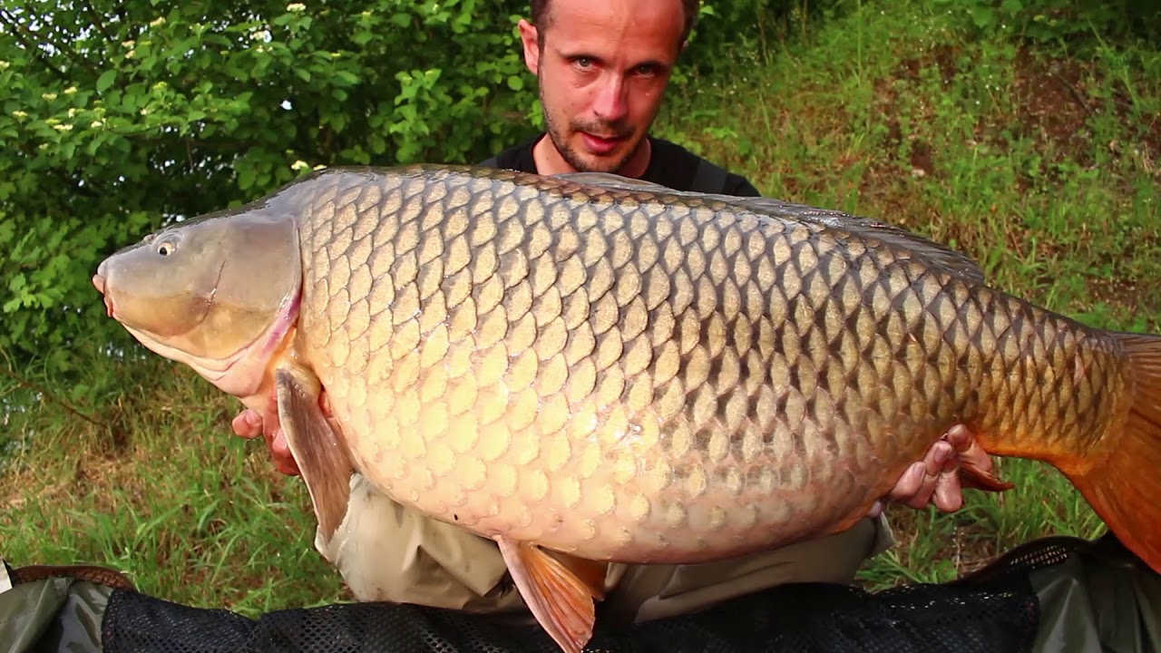 Prezentare lanseta Select Baits Vulkan