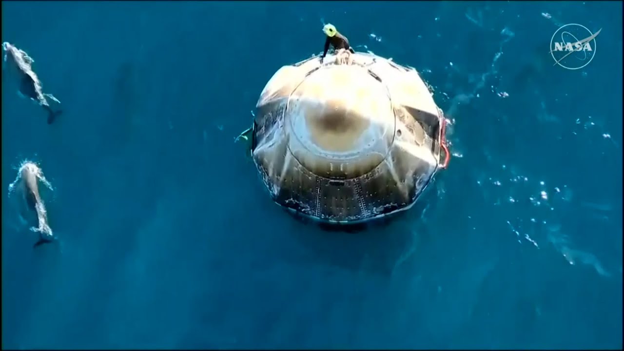 Pod of dolphins welcome home astronauts on SpaceX