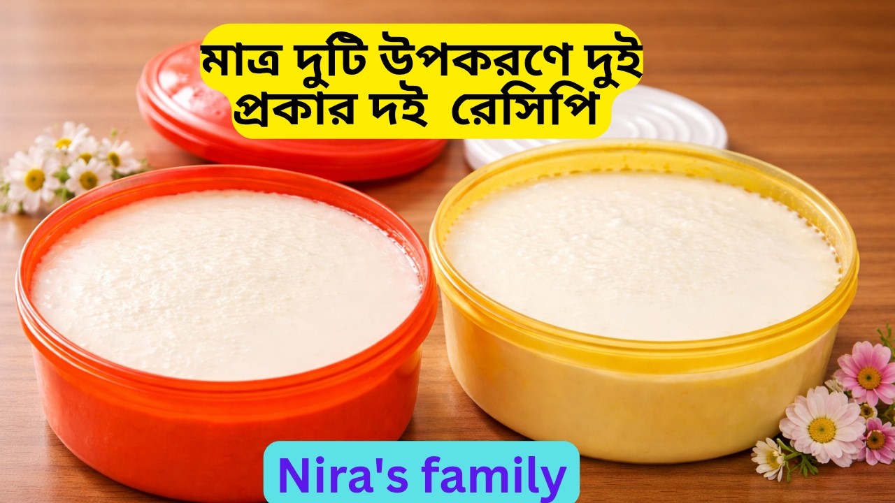 মাত্র ২টি উপকরণ দিয়ে ২ প্রকারের দই  |Easy Homemade Doi Recipe  |  Niea's family  |Cooking blog