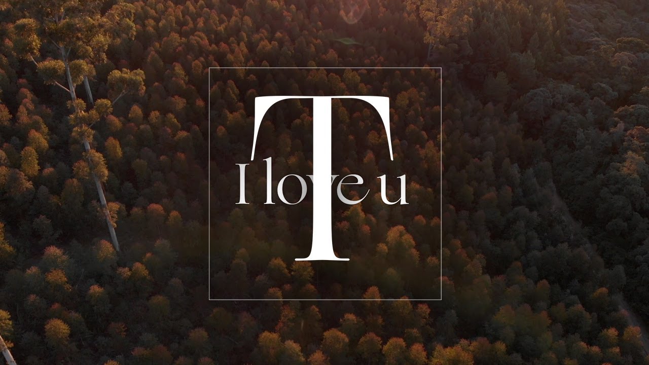 Tjalling Reitsma - U (Visualizer)