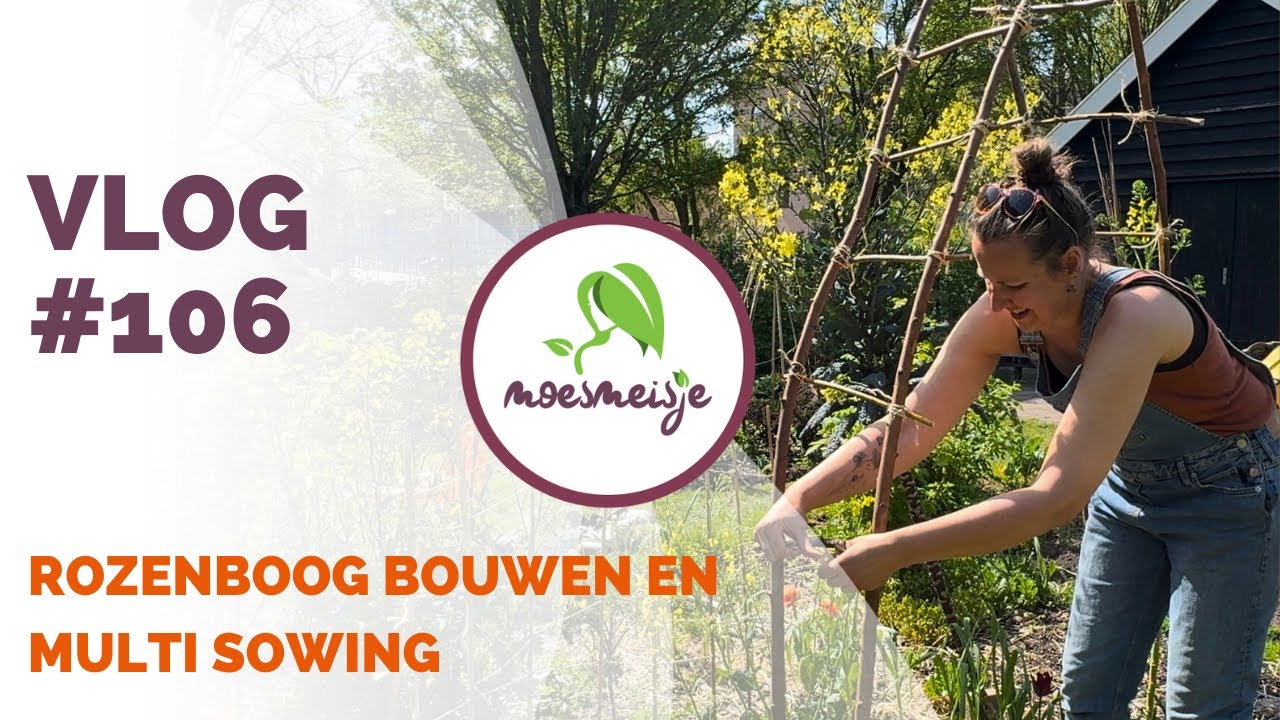 MOESTUINVLOG #106 | Biet en radijs zaaien met de multi sow-methode, uitplanten en rozenboog bouwen 💚