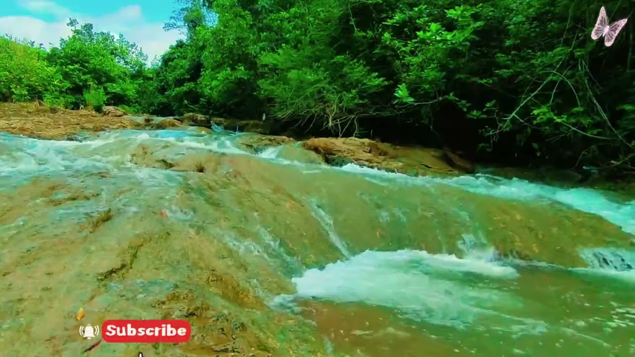 Relaxing Music For Stress Relief, Anxiety and Depressive States🌿 Heal Mind, Sleep Meditation Calm