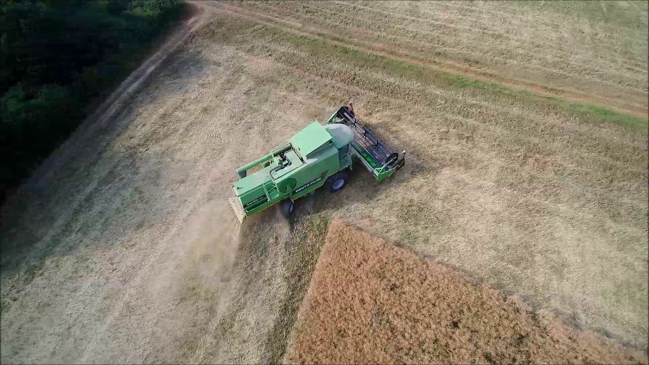 Raps dreschen mit Deutz-Fahr 5695 HTS