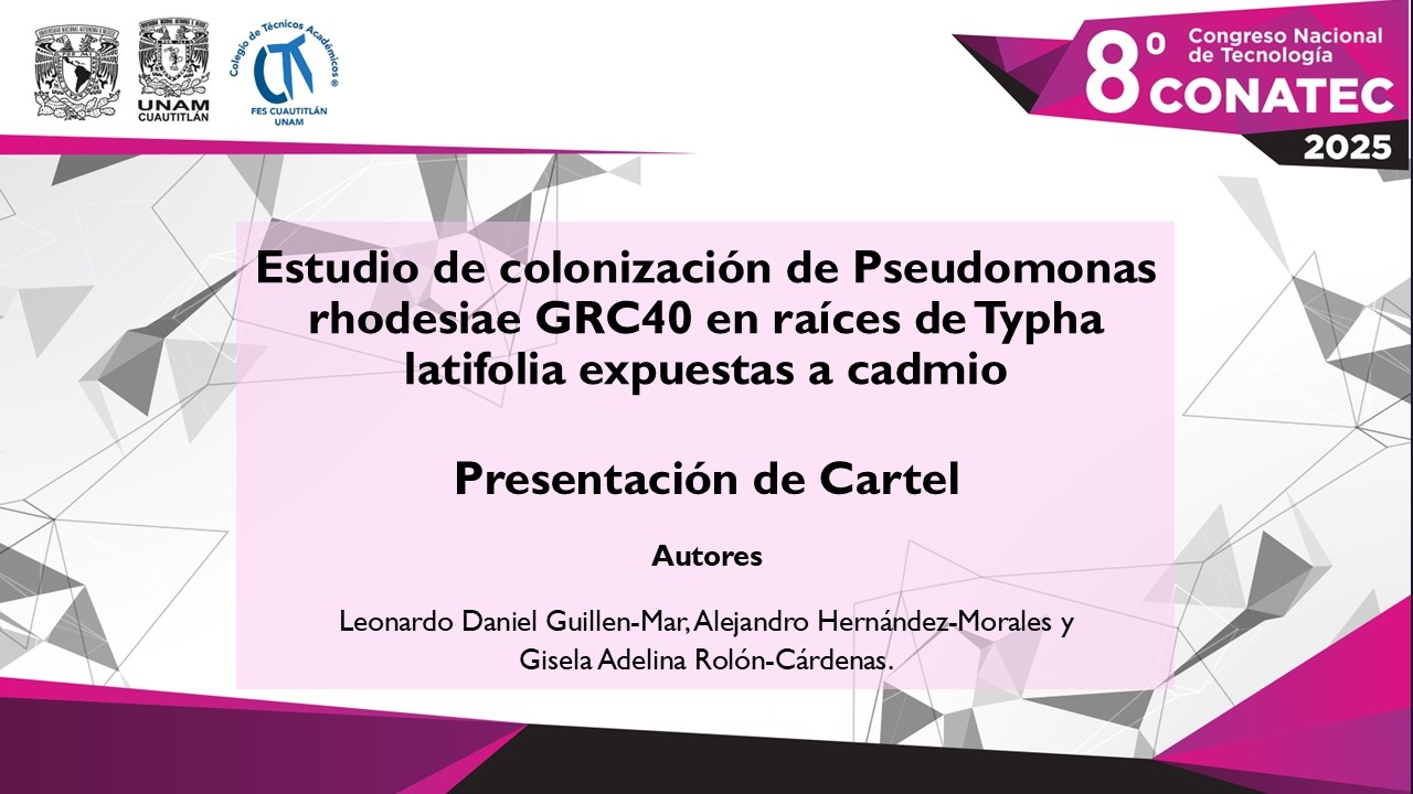 Estudio de colonización de Pseudomonas rhodesiae GRC40 en raíces de Typha latifolia expuestas a c...