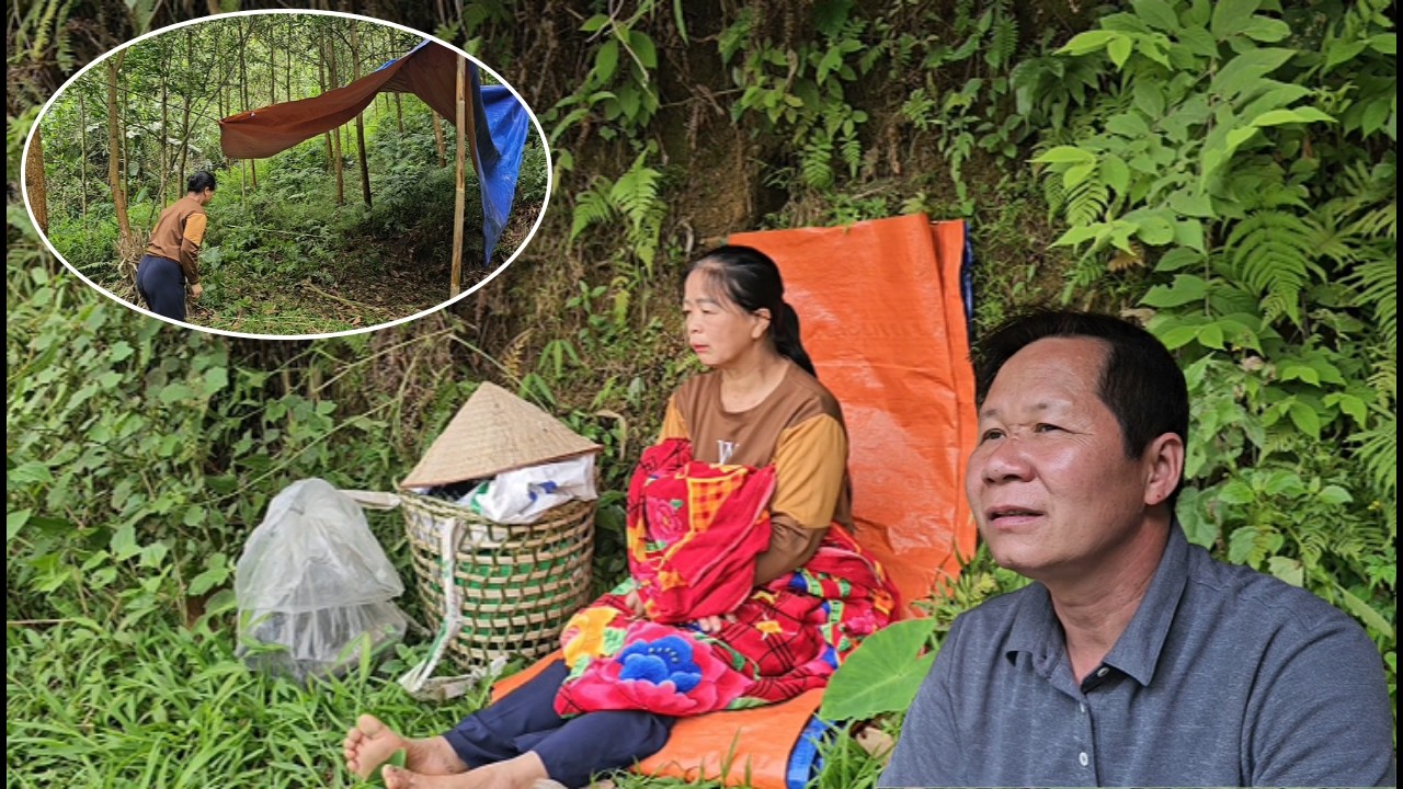 Mr. Ha's wife moved to a new place when she was continuously kicked out
