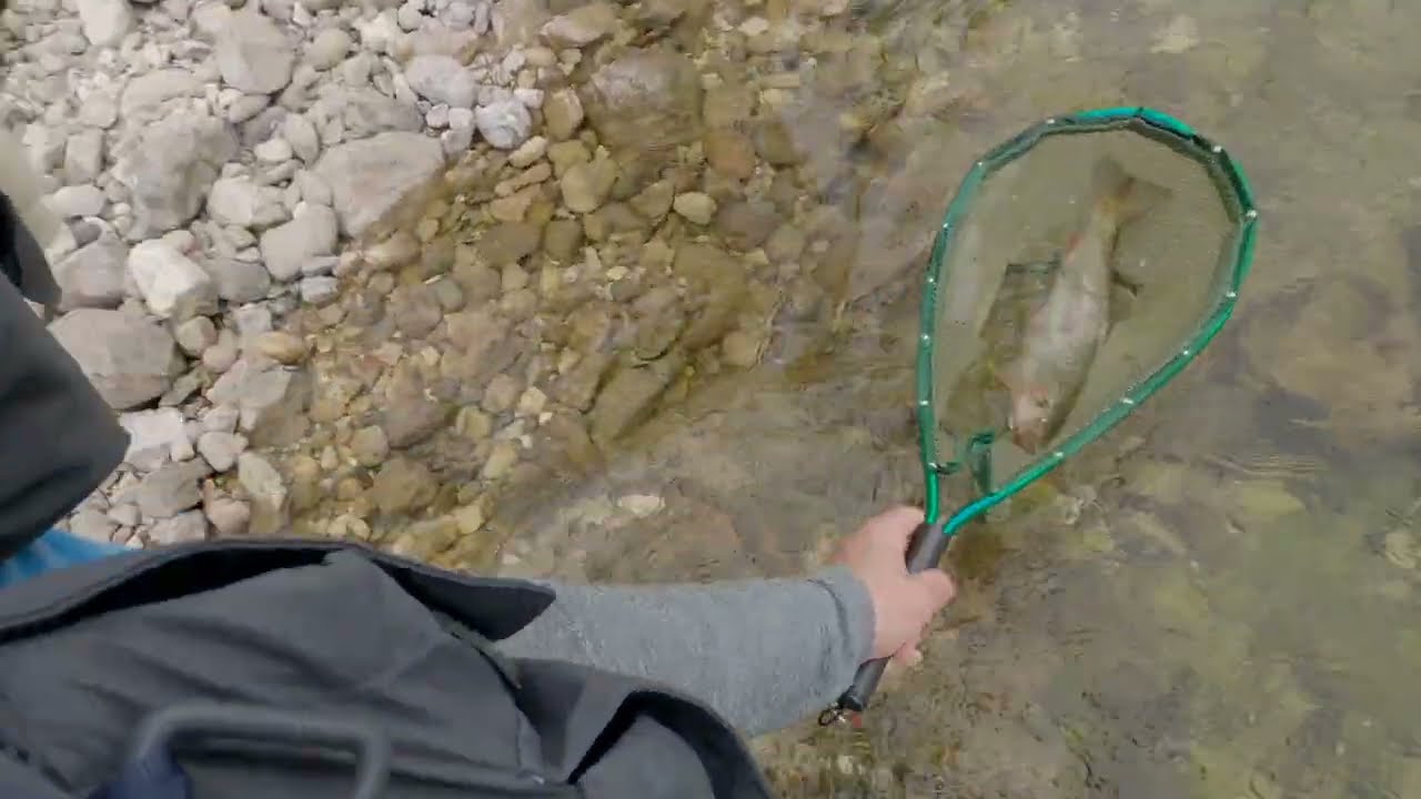 FLYFISHING GOISERN TRAUN HURCH