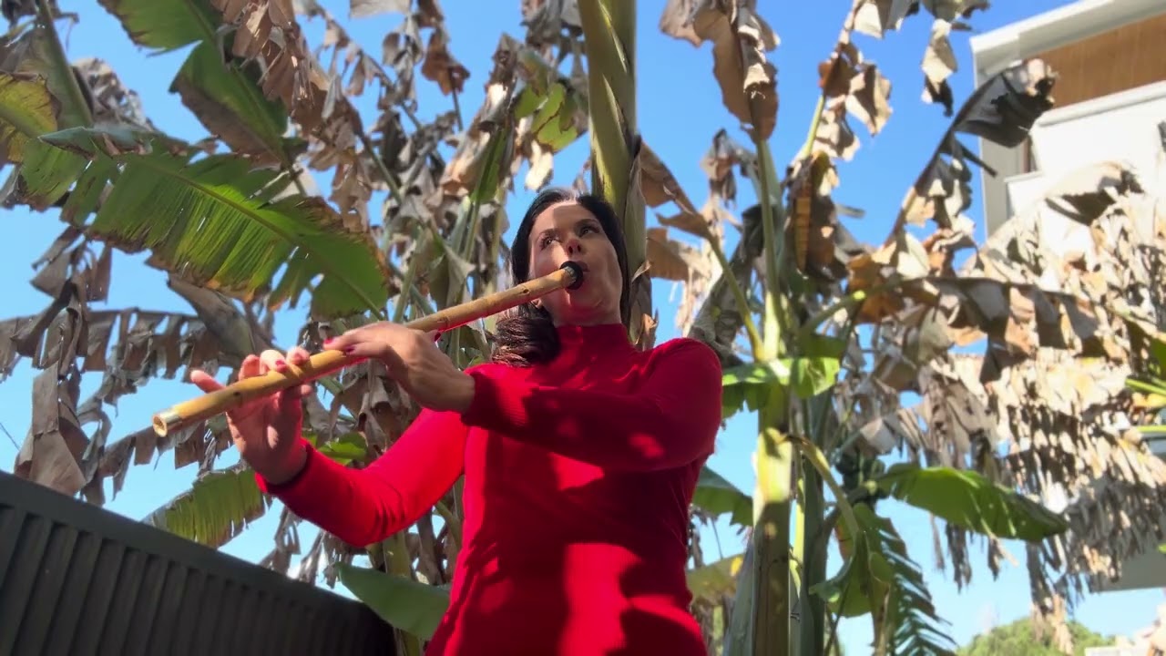 Ney & Nefes Sabah Şifası #meditasyon #meditation #morning #şifa #turkishflute #youtubeshorts 