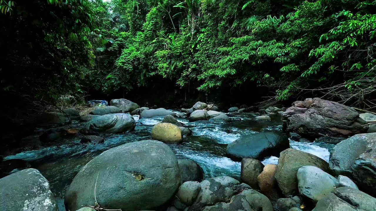 Lost in the Flow – Deep Jungle River Sounds for Sleep, Focus, and Relief Stress
