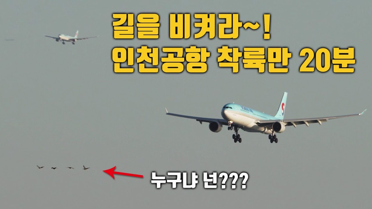 인천공항 착륙도중 마주친 넌 어디서왔니? 아름다운 인천공항 착륙만 20분! B777 B737 B787 A320 A321 A330 A350 A380