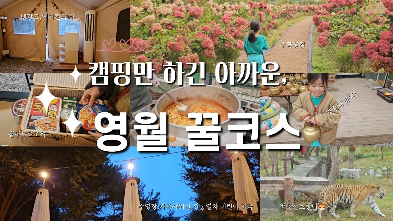 조식.떡볶이.막걸리주는 영월 느티나무캠핑장🏕수영장.깡통열차.방방이 아이들의 천국👧, 백두산호랑이가 사는 백두대간수목원🐯, 맛집.카페.박물관.도서관까지 영월을 샅샅이 즐기는 방법💡